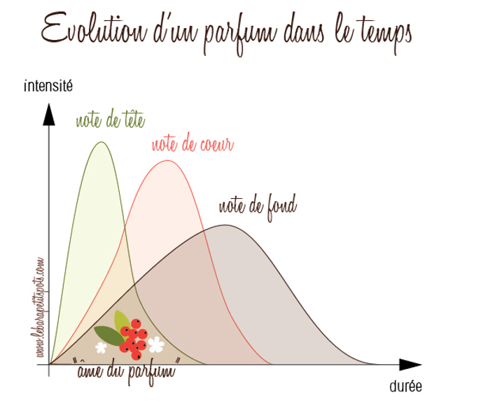 les notes de parfum