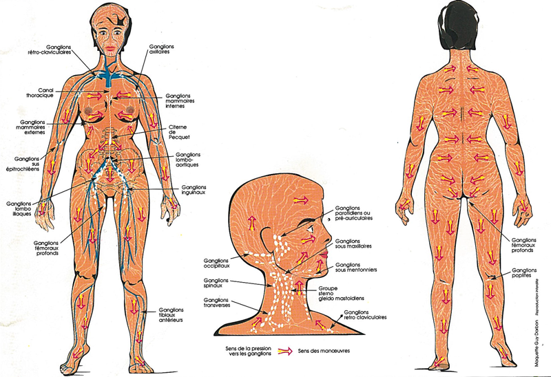 drainage-lymphatique-paris