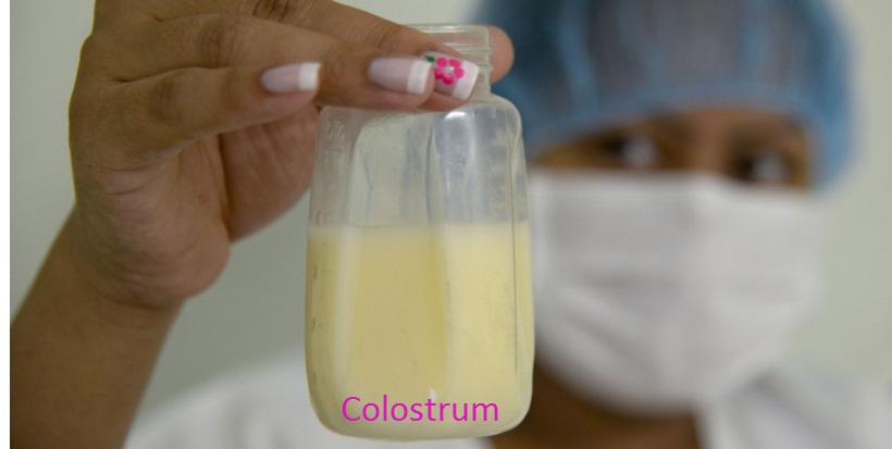 A Colombian mother shows a bottle after collecting breast milk during the first day of donation of human milk at Medellín's General hospital on August 20, 2014 in Medellin, Antioquia department, Colombia. The region's first Human Milk Bank opened recently, with the aim of reducing the mortality rate in premature infants, preventing disease, ensuring normal growing on newborns and to promote breast-feeding. AFP PHOTO/Raul ARBOLEDA