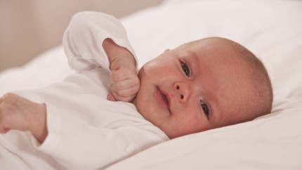 baby_liegend-430x242