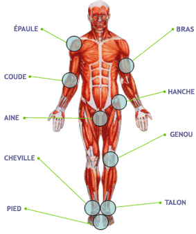 sante-tendinite-gp3